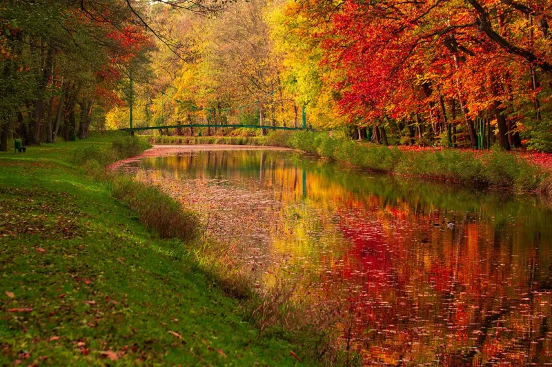 We spent $525 on AI support in October. It handled what would require 170+ human work hours.