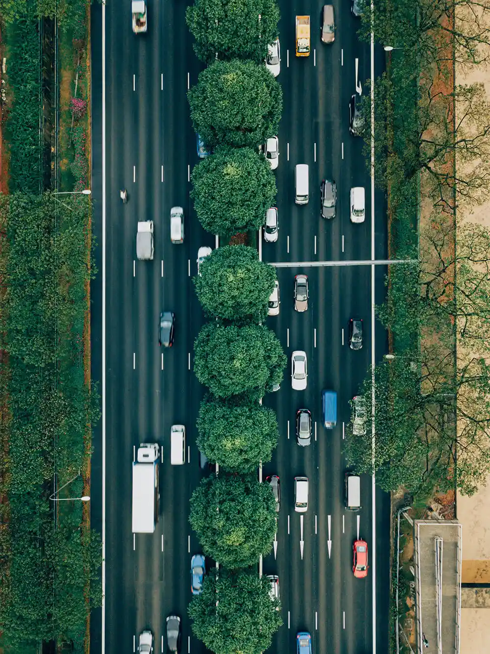 Aerial view of a road through trees